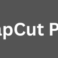 CapCut Pro